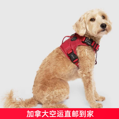 加拿大代购直邮Canada pooch cp全带宠物狗胸背牵引绳防脱胸背衣