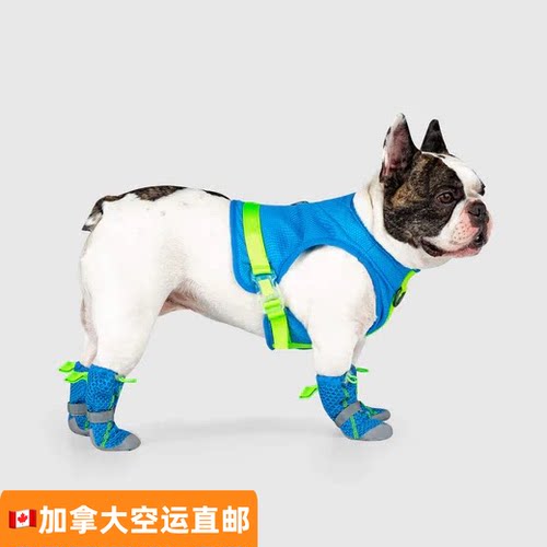宠物狗防抓咬耐磨透气防滑鞋