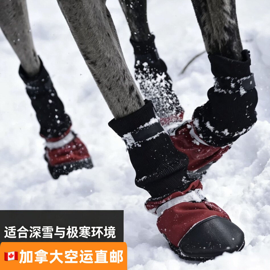 加拿大直邮Muttluks狗雪地鞋 冬季保暖防滑宠物鞋 户外防水防冻