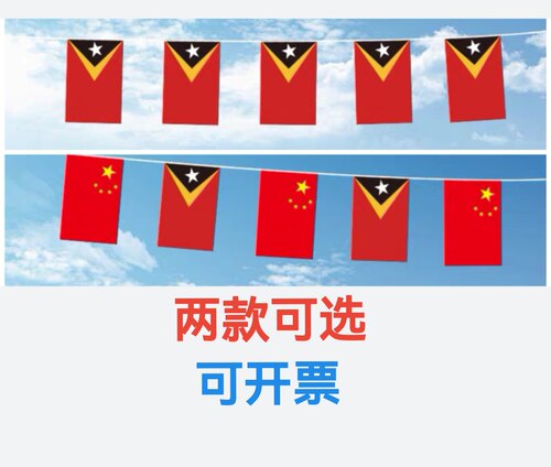 7米8号中国东帝汶国旗串旗挂旗吊旗装饰小旗子小国旗