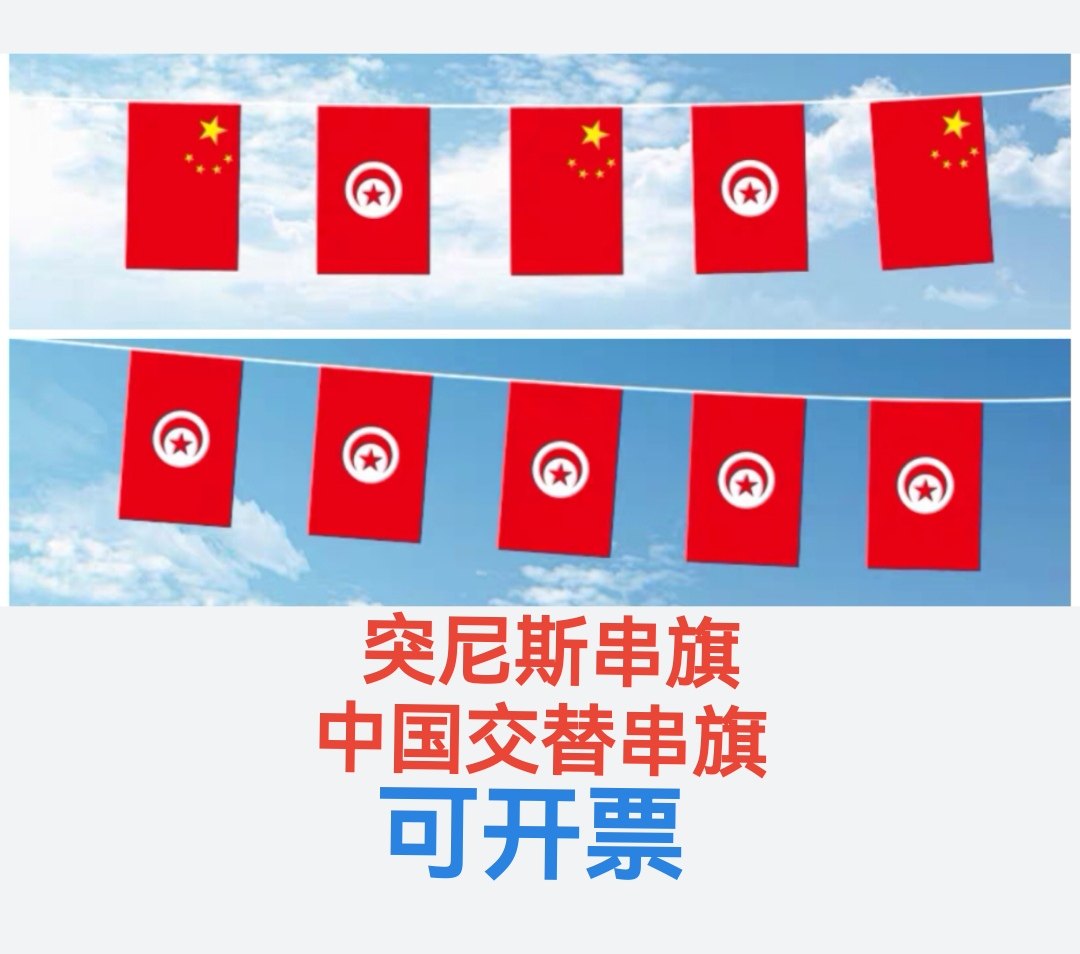 5米8号中国突尼斯国旗串旗挂旗小旗子突尼斯小国旗吊旗文化节装饰