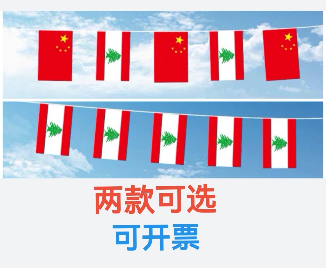 5米8号中国黎巴嫩国旗串旗挂旗吊旗装饰小旗子黎巴嫩小国旗,文具电教/文化用品/商务用品,旗帜/锦旗,淘宝优惠券,粉丝福利购,淘宝优惠卷