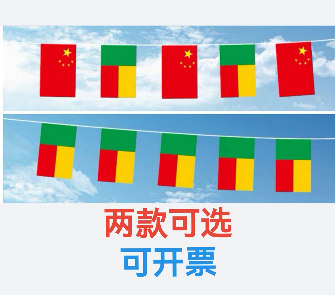 5米8号中国贝宁国旗串旗挂旗吊旗小旗子贝宁小国旗