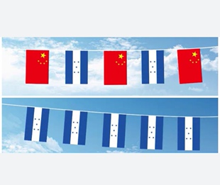 可开票5米8号洪都拉斯国旗串旗中国交叉串旗小旗子小国旗