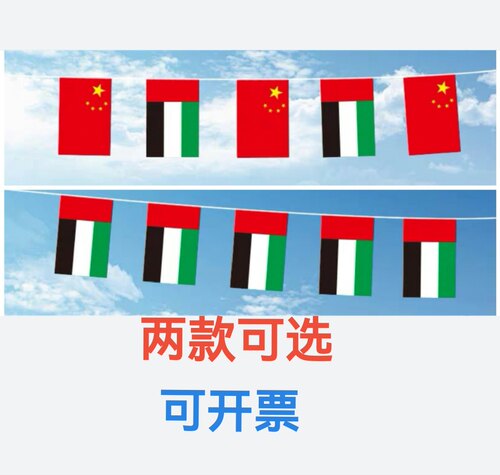 7米8米7号8号中国阿联酋国旗串旗挂旗吊旗迪拜小旗子装饰小国旗