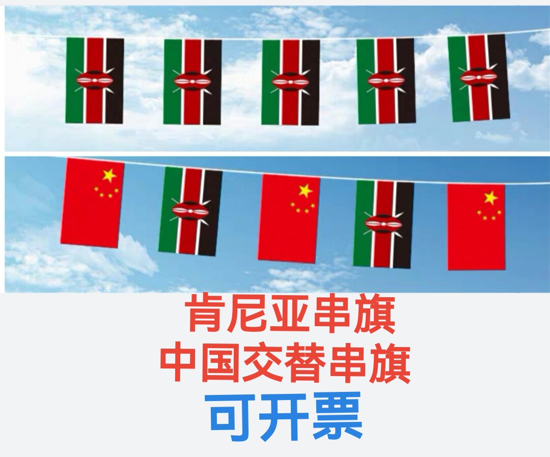 8号5米中国肯尼亚国旗串旗挂旗道具吊旗装饰小旗子肯尼亚小国旗