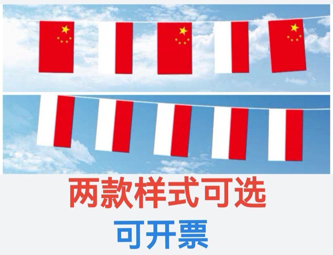 5米8号中国摩纳哥国旗串旗挂旗吊旗装饰小旗子摩纳哥小国旗