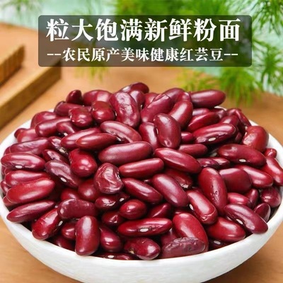 新货红腰豆红芸豆大红豆