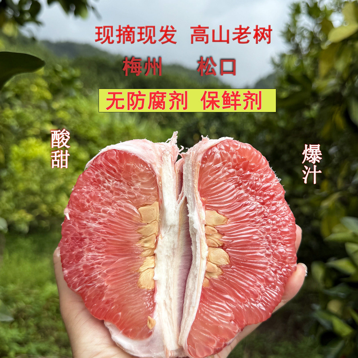 梅州红心蜜柚果园直销