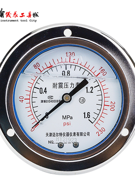 YN100ZT轴向带边耐震压力表液压油压表抗震1.6/25/60MPA背式面板