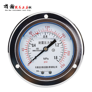 YN100ZT轴向带边耐震压力表液压油压表抗震1.6/25/60MPA背式面板