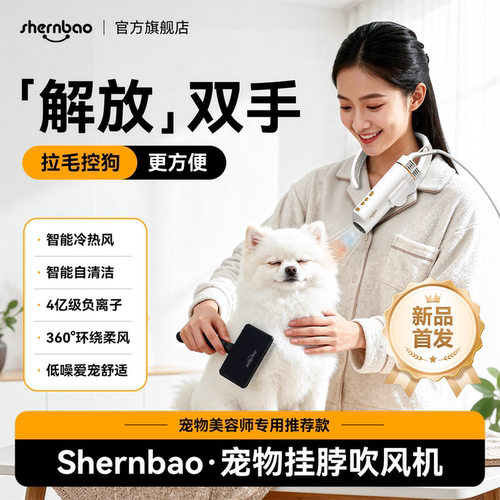 神宝无刷电机负离子吹风机拉毛机