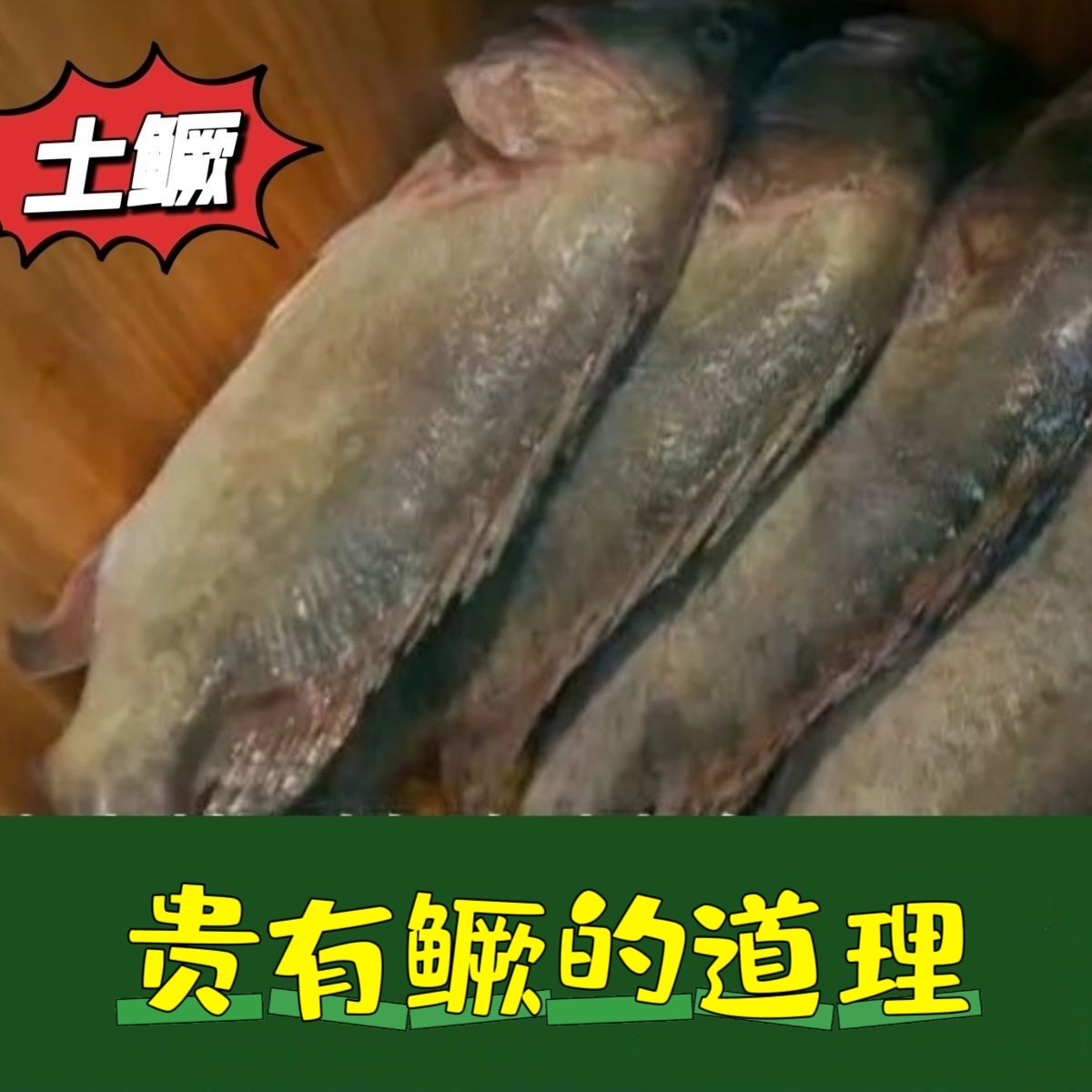 土臭鳜鱼徽州臭桂鱼净膛500g 徽菜经典黄山老街宏村汤口特产