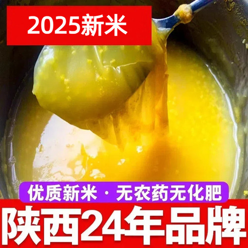 陕北米脂黄小米粥2025农家杂粮