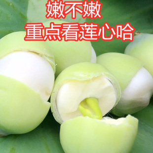 新鲜莲子米水果莲子新鲜莲蓬鲜莲子米生吃农家当天现摘蔬菜微山湖