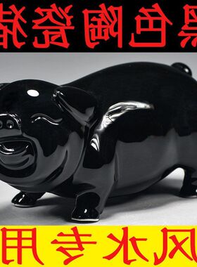 可爱猪陶瓷小猪装饰黑色十二生肖