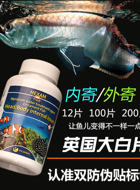 正品英国大白片非鱼药内外寄头洞凸眼龙鱼罗汉鱼七彩观赏鱼白便