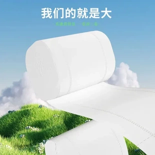 纸巾卫生纸大包家庭装 家用 雨森层5无芯卷纸10实惠大卷斤装
