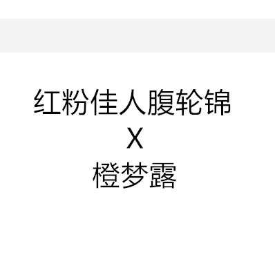 小柚子园艺2026年新品多肉杂交种子 红粉佳人腹轮锦杂橙梦露 种子
