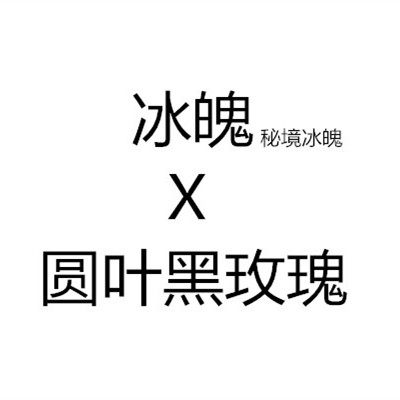 小柚子园艺2024年新收多肉杂交种子  冰魄杂黑玫瑰  种子