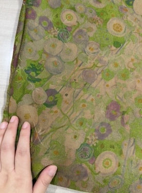 155元/米 100%桑蚕丝 全真丝透孔花罗红云纱面料布料 绿