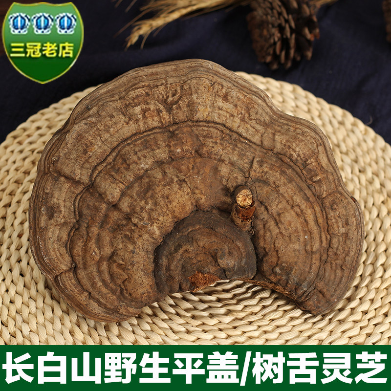 长白山野生平盖灵芝 深山树舌灵芝 青芝 整枝林芝可切灵芝片500克