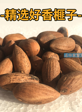 香榧香榧子松鼠粮食魔王食物金花零食口粮红腹吃的饲料用品松果坚