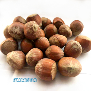 【逼林家】大榛子 生料 魔王松鼠 金花松鼠 松鼠粮食 松鼠食物