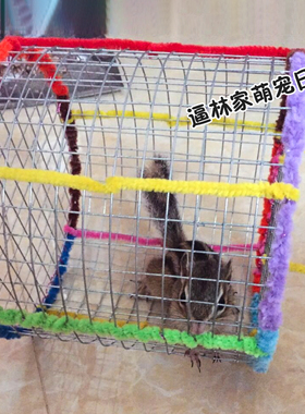 预售【逼林家】松鼠外带跑笼 跑轮 跑球 松鼠私家车 包邮 定制
