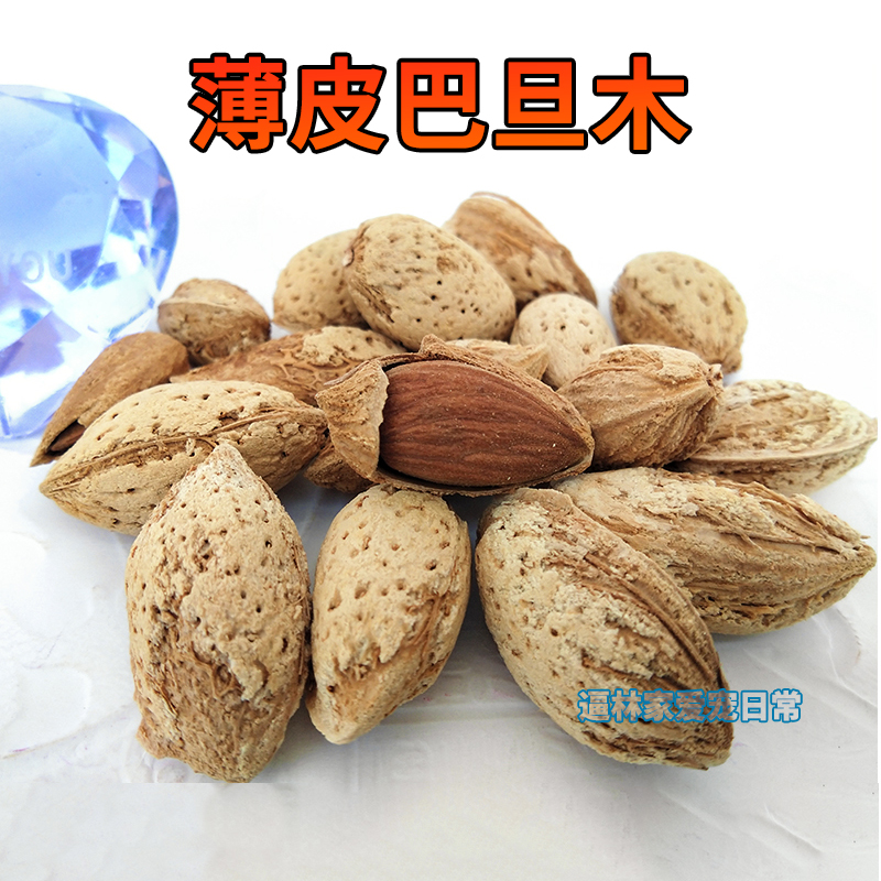 逼林家巴旦木食品飞鼠