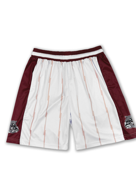 斗者LOWER MERION高中短裤篮球裤运动裤短裤训练速干健身跑步科比