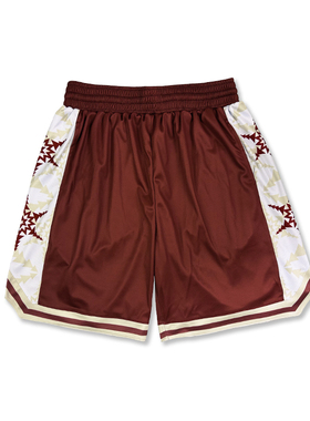 ALLEYOOP斗者SD篮球运动裤街头篮球裤国潮短裤街球短裤训练跑步裤