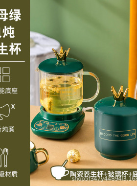 全陶瓷养生杯玻璃花茶养生壶电炖电热锅多功能煲汤煮粥热牛奶神器