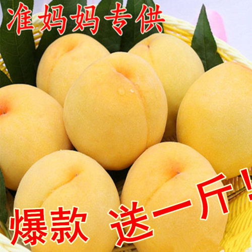 黄桃水果新鲜脆甜桃罐头蒙阴黄桃