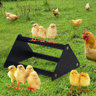 跨境厂家铁艺小鸡爬架户外鸡睡觉架家禽栖息架养鸡架防磨脚鸡爬架