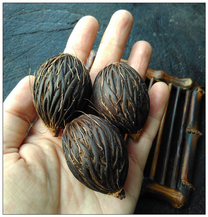 道运流转生生不息文玩佳品乌黑千丝菩提手把件可diy挂件钥匙扣等