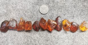 蜜蜡琥珀 虫珀 原石 各个有虫 尺寸见对比 2-6克 1-11