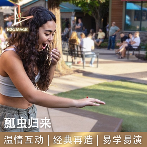 N2G魔术道Ladybug瓢虫归来