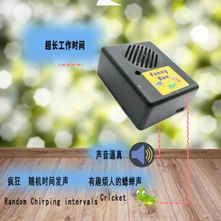 昆虫叫声声音发声器整盅恶搞办公室课室宿舍无聊减压玩具恐怖吓人