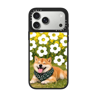 CA适用苹果17iPhone14plus镜面13promax17磁吸Magsafe16猫猫狗狗xr手机壳12防摔11新款xs高级感15pro保护套
