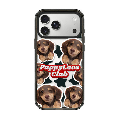 CA适用苹果17iPhone14plus亚克力13promax17磁吸Magsafe16猫猫狗狗透明手机壳12防摔11新款高级感15pro保护套