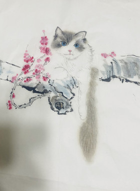 纯手工绘画 可爱的布偶猫咪 国画 水墨画 纯毛笔画装饰画