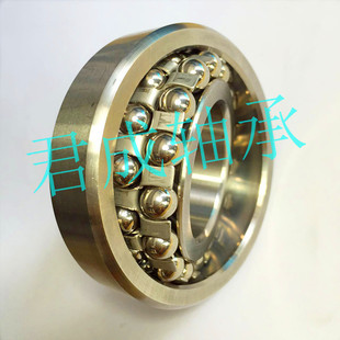 S1205 S1204 1206万向调心 1203 304材质不锈钢轴承S1200