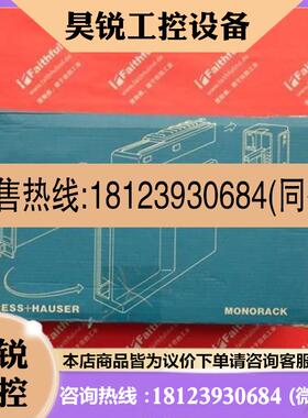 议价:E+H 918177-0700 恩德斯豪斯变送仪 Monorack 918177