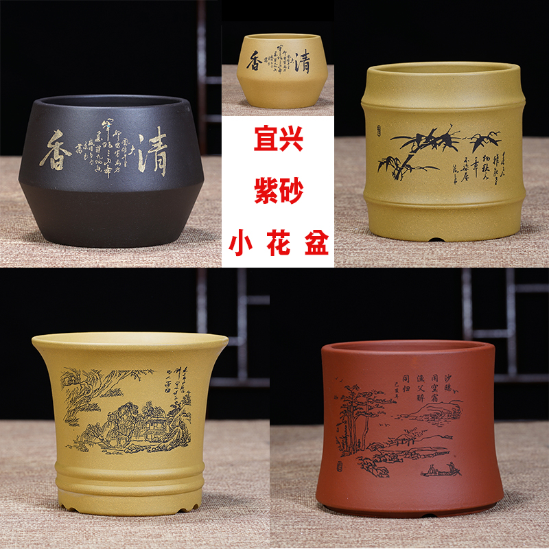 紫砂小花盆文竹罗汉松金丝君子兰