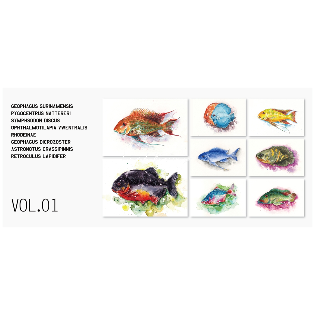 LichYoung《无尽美好的事物》淡水鱼图鉴原创插画 | 明信片 | 6寸