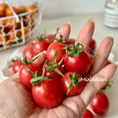 香蜜千禧，几乎无酸蕃茄味浓郁