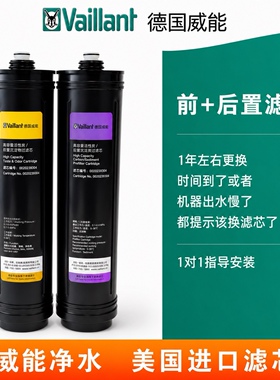 威能正品家用K5/N8/L8净水器A200紫色滤芯黄色反渗透美国原装进口