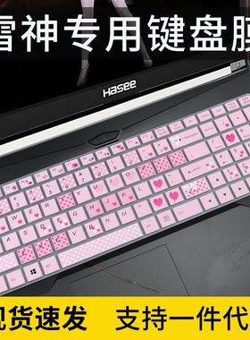 适用炫龙(Shinelon)DD2 Plus键盘保护膜16.1英寸笔记本电脑防尘罩