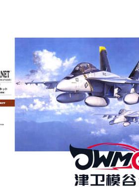 津卫模谷 长谷川 07238 1/48 F/A-18F超级大黄蜂 海盗旗中队 拼装